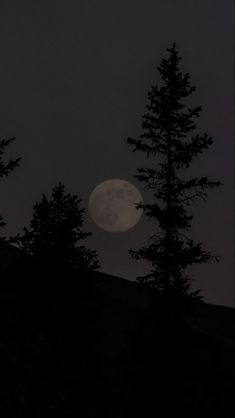 the full moon is seen through some trees