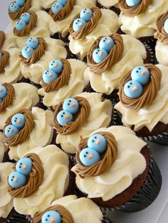 cupcakes decorated with blue and brown icing