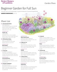 the beginner garden for full sun is shown in this page, with instructions to plant it