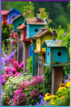 several colorful bird houses are lined up in the garden