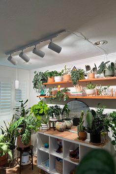 #vertical gardening #gardening for beginners #eclectic apartment #2024 wall color trends #modern western bedroom #girly apartment decor #cozy hobby room #cozy reading nook ideas #vibey apartment #vibrant living room
#spring bedroom ideas #rustic country kitchens #colorful eclectic living room #moody romantic bedroom #moody mid century modern #kitchen design inspiration #tulum interior design #organic modern bathroom #contemporary interior design Floor To Ceiling Plant Shelves, Plant Room Grow Lights, Plant Grow Lights Indoor Setup, Plant Wall Shelf Ideas With Grow Lights, Plant Lights Indoor Setup, Indoor Plants Decor Living Room, Living Room Eclectic, Plant Space, Plant Setup