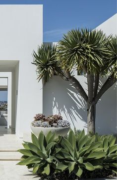 a white house with plants in front of it and an open door leading to the outside