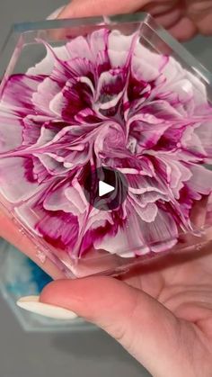 a person holding a flower in their hand with the video showing it's petals