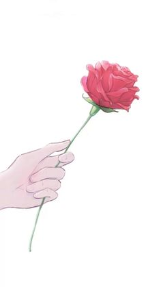 a pink flower being held by a person's hand