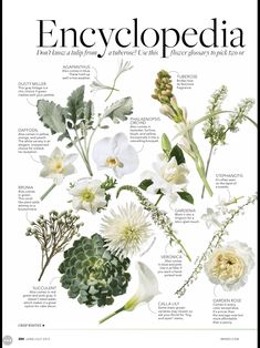 an image of the cover of encyclopedia magazine with flowers and leaves