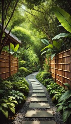 a pathway in the middle of a lush green forest with bamboo trees and plants on either side