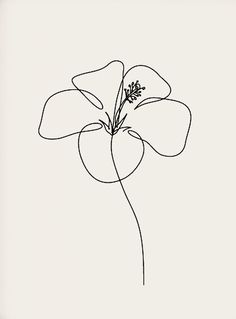 a single line drawing of a flower on a white background