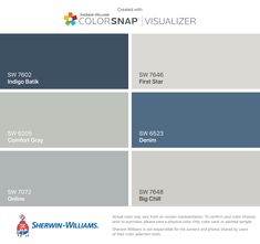 the color scheme for colorsnap visualizer is shown in blue, gray and white