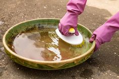 a person in pink gloves is cleaning a green bowl