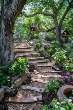 a stone path leading up to a tree