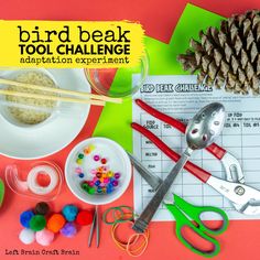 the bird beak tool challenge is on display with scissors, beads and other crafting supplies