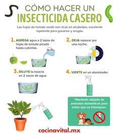 a poster with instructions on how to use insecticides in the home and office