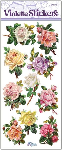 an assortment of pink and yellow roses with green leaves