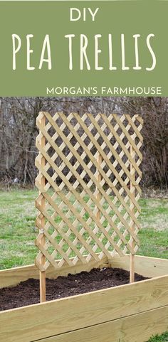 a wooden trellis planter in the middle of a yard with text overlay reading diy pea trelliss morgan's farmhouse