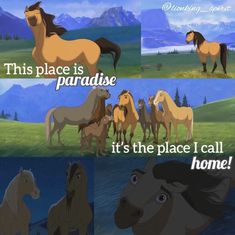 horses are standing in a field with the caption, this place is paradise it's the place i call home