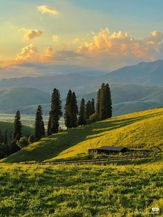 a grassy hill with trees and mountains in the background