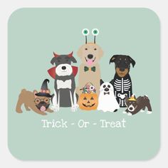 a group of dogs dressed up in halloween costumes with the words trick or treat on them