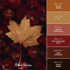 Rust Red Color Palette, Maroon Color Palette, Burgundy Color Scheme, Burgundy Colour Palette, Single Leaf, Black Color Palette, Gold Color Palettes, Desk Inspo, Red Color Schemes