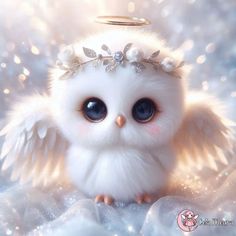 an adorable little white owl with blue eyes wearing a tiara and pearled headband