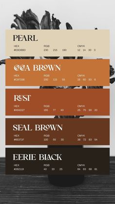 four different shades of brown, black and white are stacked on top of each other