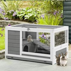 two rabbits are sitting in front of a large caged dog house that is outside