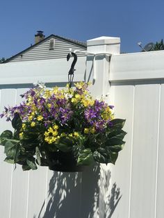 purple and yellow flowers in a hanging planter on the side of a white fence