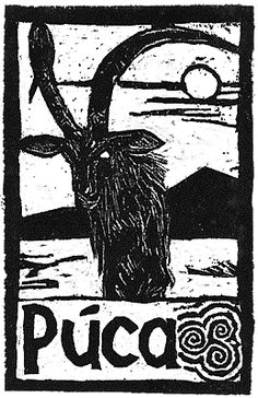 a black and white drawing of a goat with the word puca on it's chest