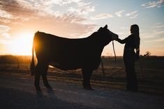 a woman standing next to a cow in the middle of a dirt road at sunset