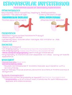 an info sheet with information about the different types of teeth