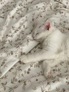 a white cat laying on top of a bed next to a comforter covered in flowers