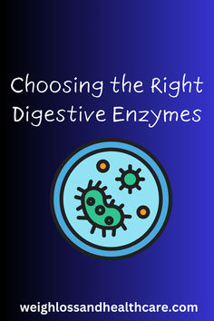 Discover the key factors when selecting the perfect enzyme supplement for optimal digestive health. Our comprehensive guide will help you learn how to choose the right supplement. Digestive Enzymes, Digestive Health