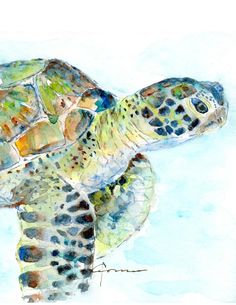 a watercolor painting of a sea turtle