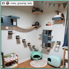 Small Apartment Cat Set Up Cat Wall House, Rooms For Cats Ideas, Pet Bedroom Ideas Cats, Bedroom Ideas With Cats, Room For Cats Ideas, Ideas For Cat Rooms, Cat Room Setup, Bedroom For Cats, Cute Cat Room Ideas