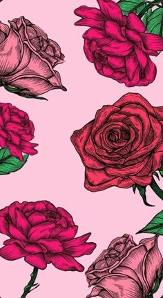 pink and red roses on a pink background