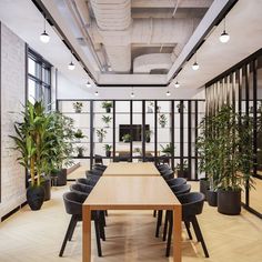 a long table with black chairs and potted plants on the wall in an office