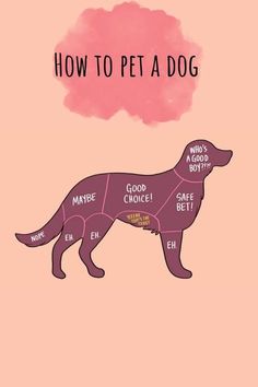 a dog that is cut into pieces with the words how to pet a dog on it