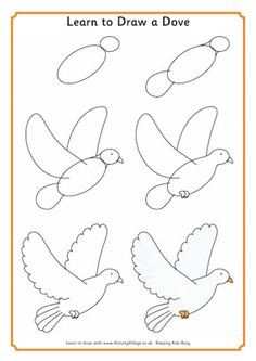 the learn to draw dove is shown in three different ways