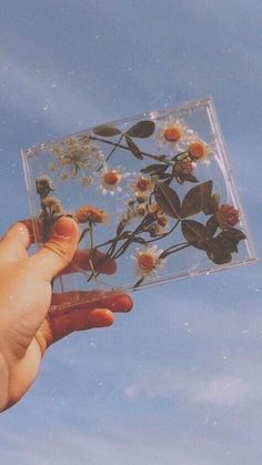 a hand holding up a glass block with flowers in the middle and sky behind it