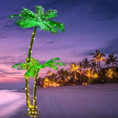 a palm tree is lit up on the beach