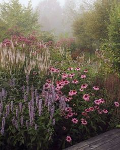 a garden filled with lots of purple flowers and green plants next to a wooden bench