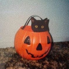 a cat sitting on top of a pumpkin with a trick in it's mouth