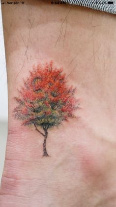 a small tree tattoo on the side of a woman's ankle, with red and green leaves