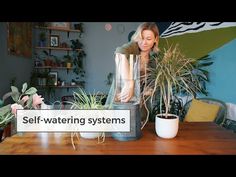 a woman standing in front of a wooden table with potted plants on it and the words self - watering systems above her