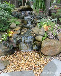 a garden with rocks and plants surrounding the water feature is shown in this image, there are several different types of stones on the ground