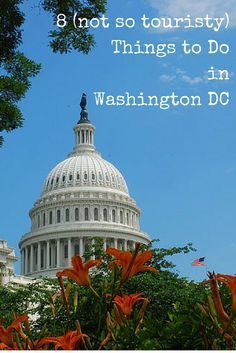 the capital building is surrounded by trees and flowers, with text that reads 8 not so touristy things to do in washington dc