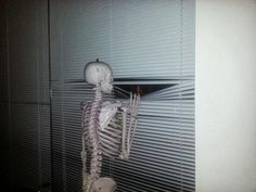 a skeleton hanging from the side of a wall with text that reads, me waiting for my crush to like me back