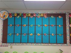 a bulletin board with the words our flock rocks on it in front of a classroom wall