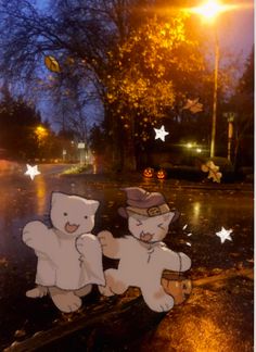 two white teddy bears sitting on the side of a road in the rain at night