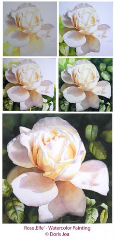 three pictures of white flowers with green leaves