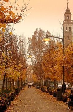 people are sitting on benches in the park near trees with yellow and orange leaves around them